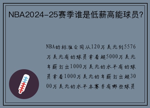 NBA2024-25赛季谁是低薪高能球员？